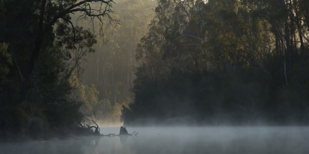 SILVER SECRET銀維秘密2021最新品牌宣傳片