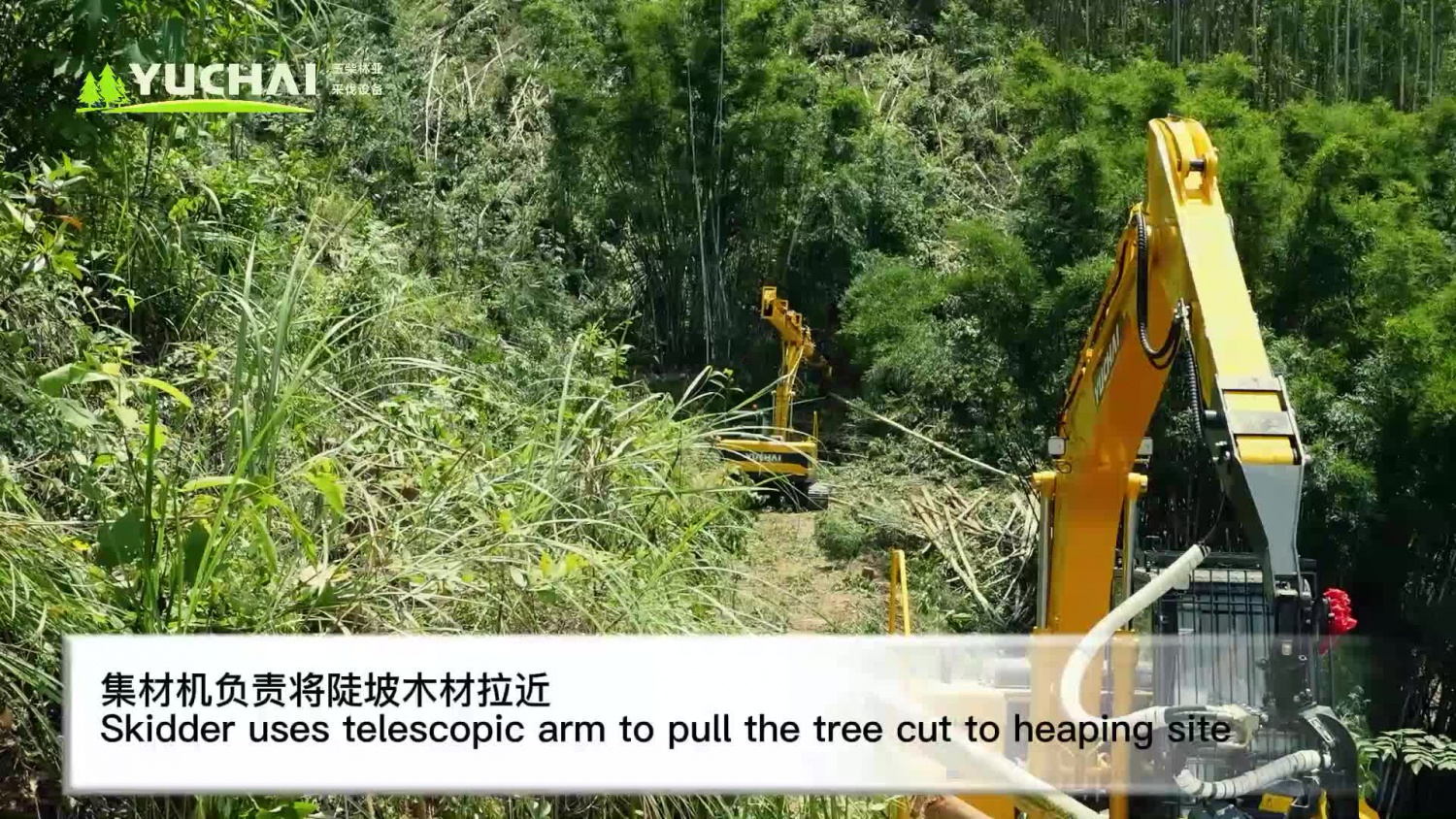 20220608090808FB017B86D3960F4D_b