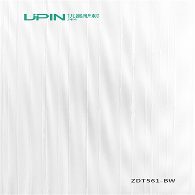 ZDT561-BW