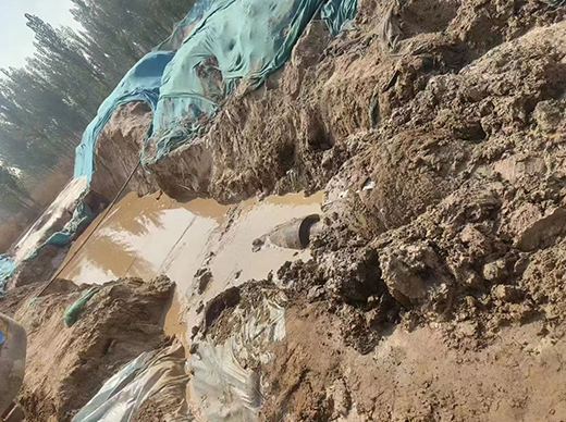 土木工程及钻井级膨润土