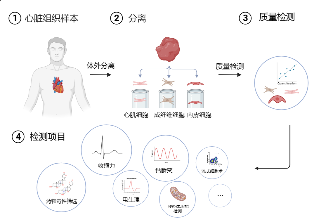 百洋智心服务介绍
