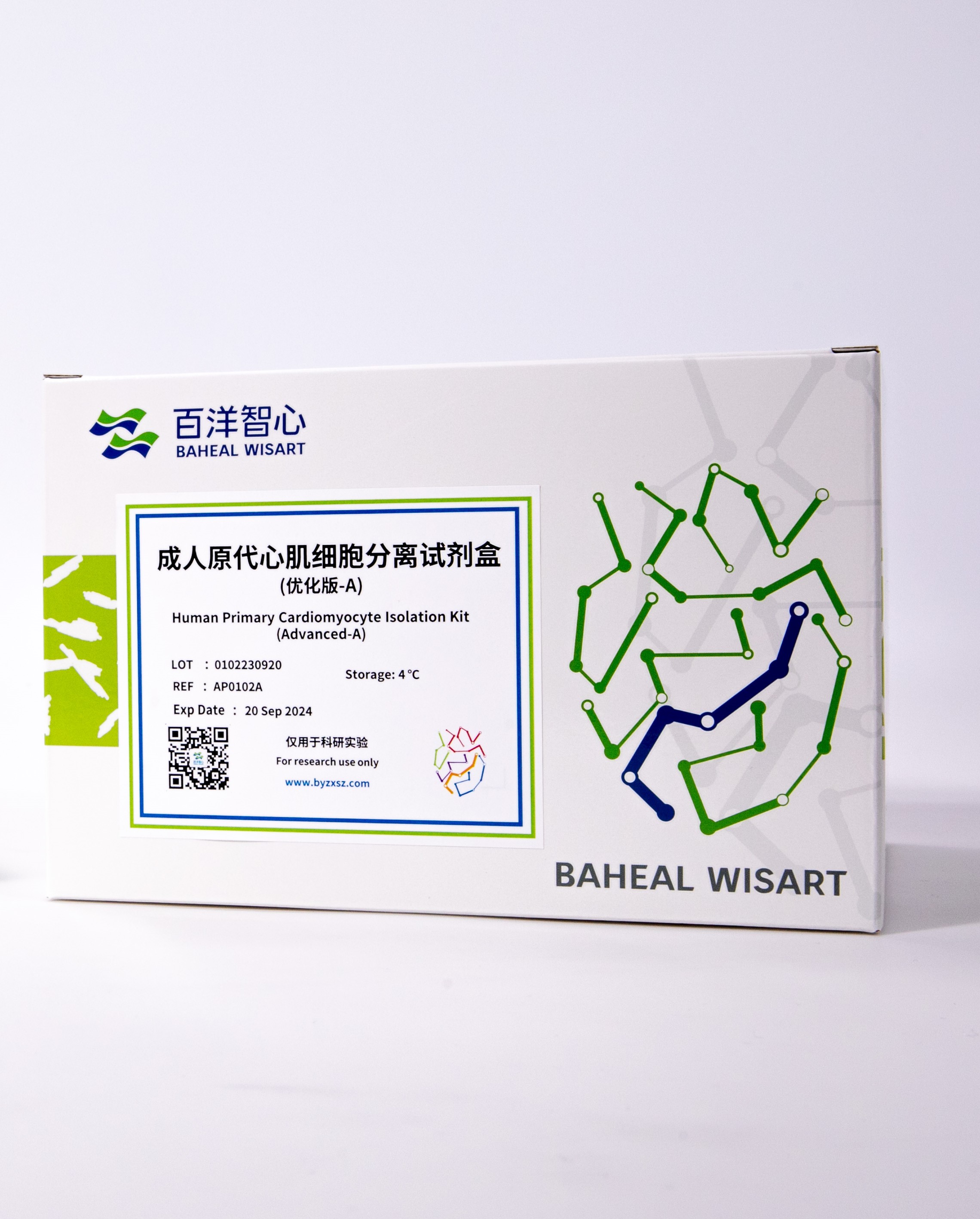 成人原代心肌细胞分离试剂盒优化版