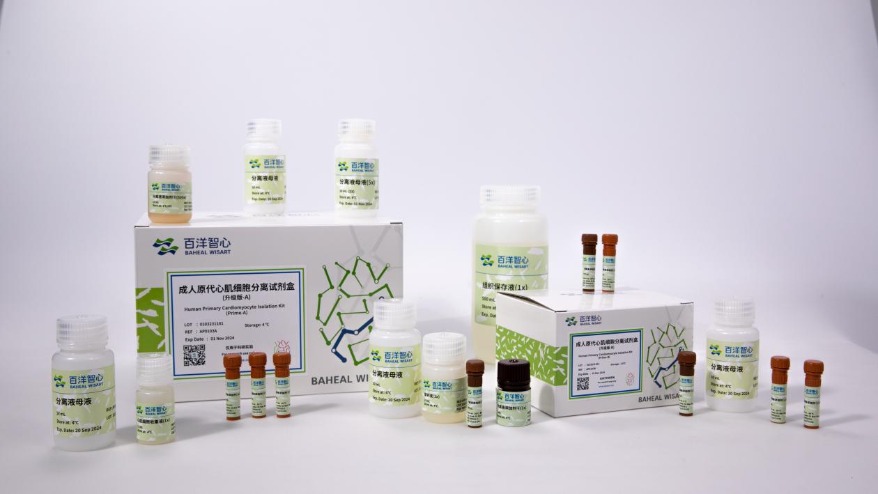 原代心肌细胞分不出，养不活？师姐力荐的试剂盒免费试用中