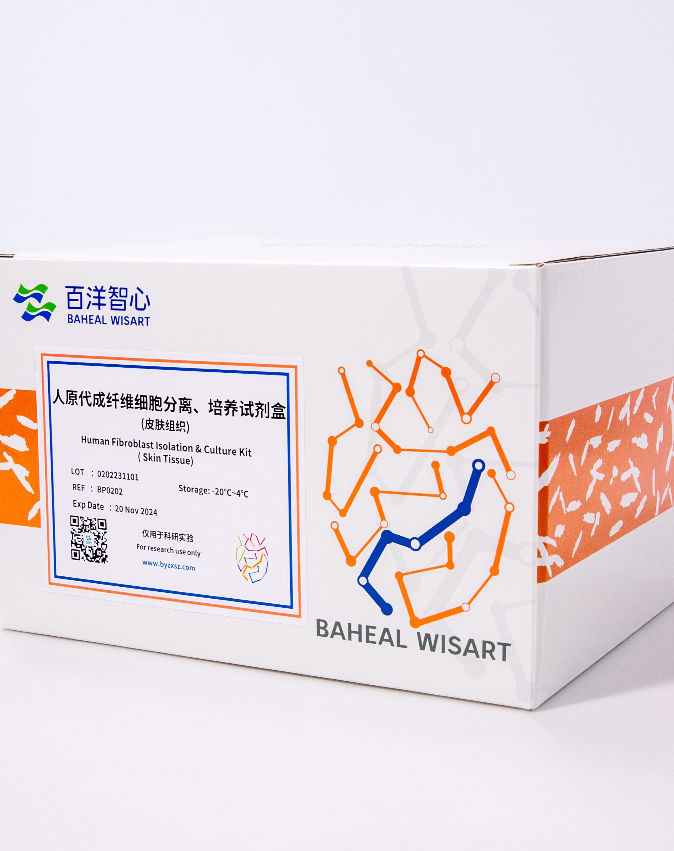人原代成纤维细胞分离、培养试剂盒(皮肤组织)