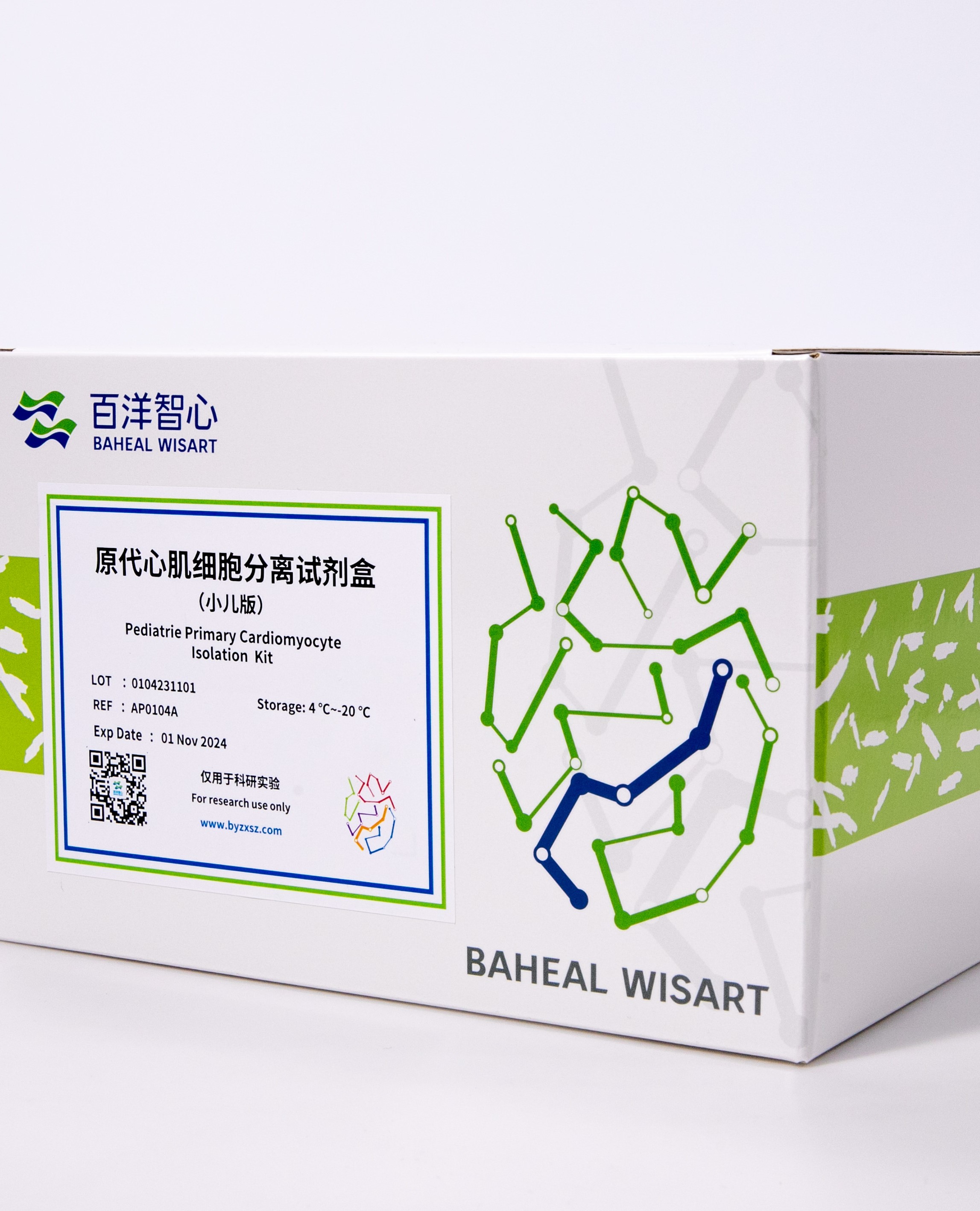 小儿原代心肌细胞试剂盒