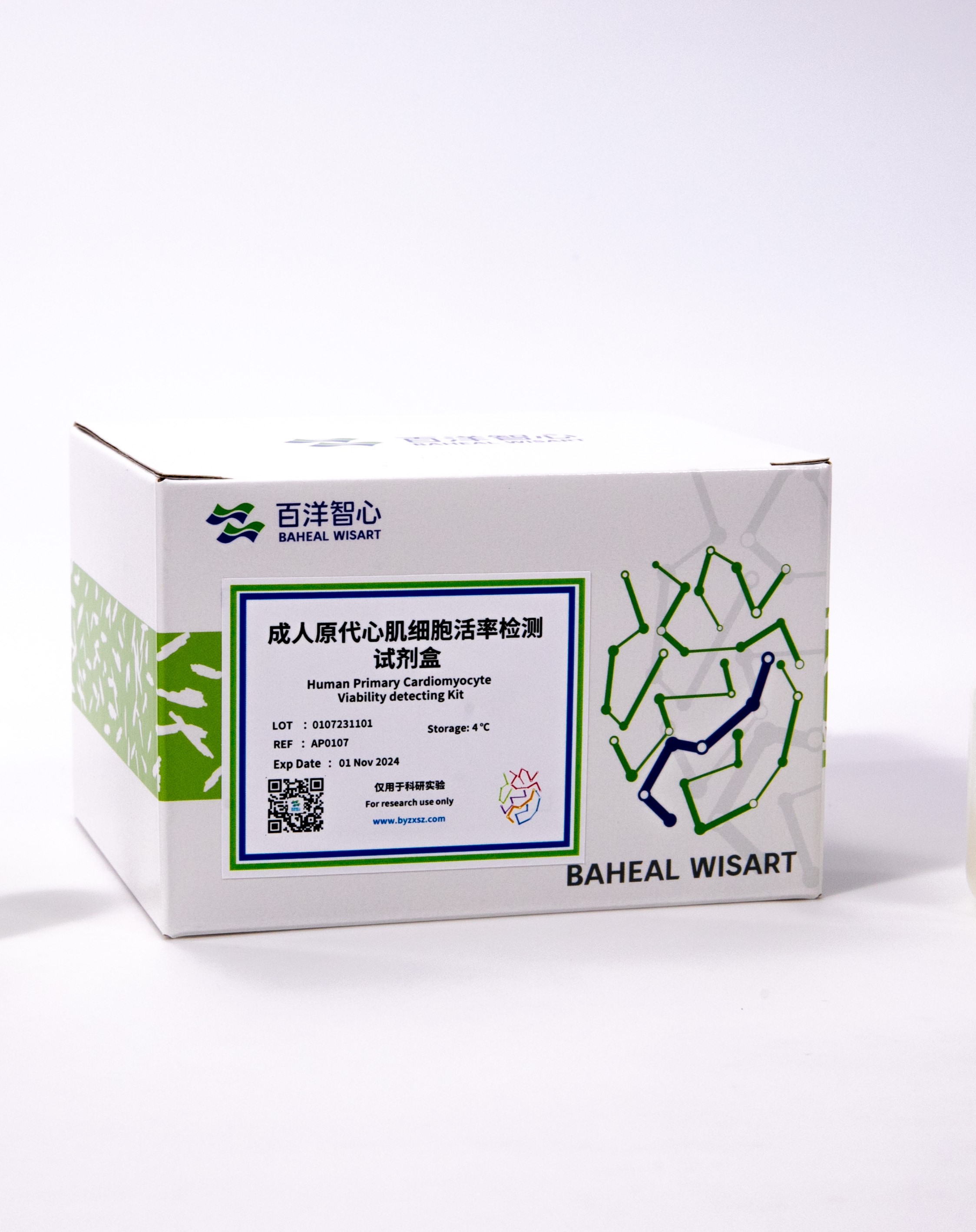 成人原代心肌细胞活率检测试剂盒