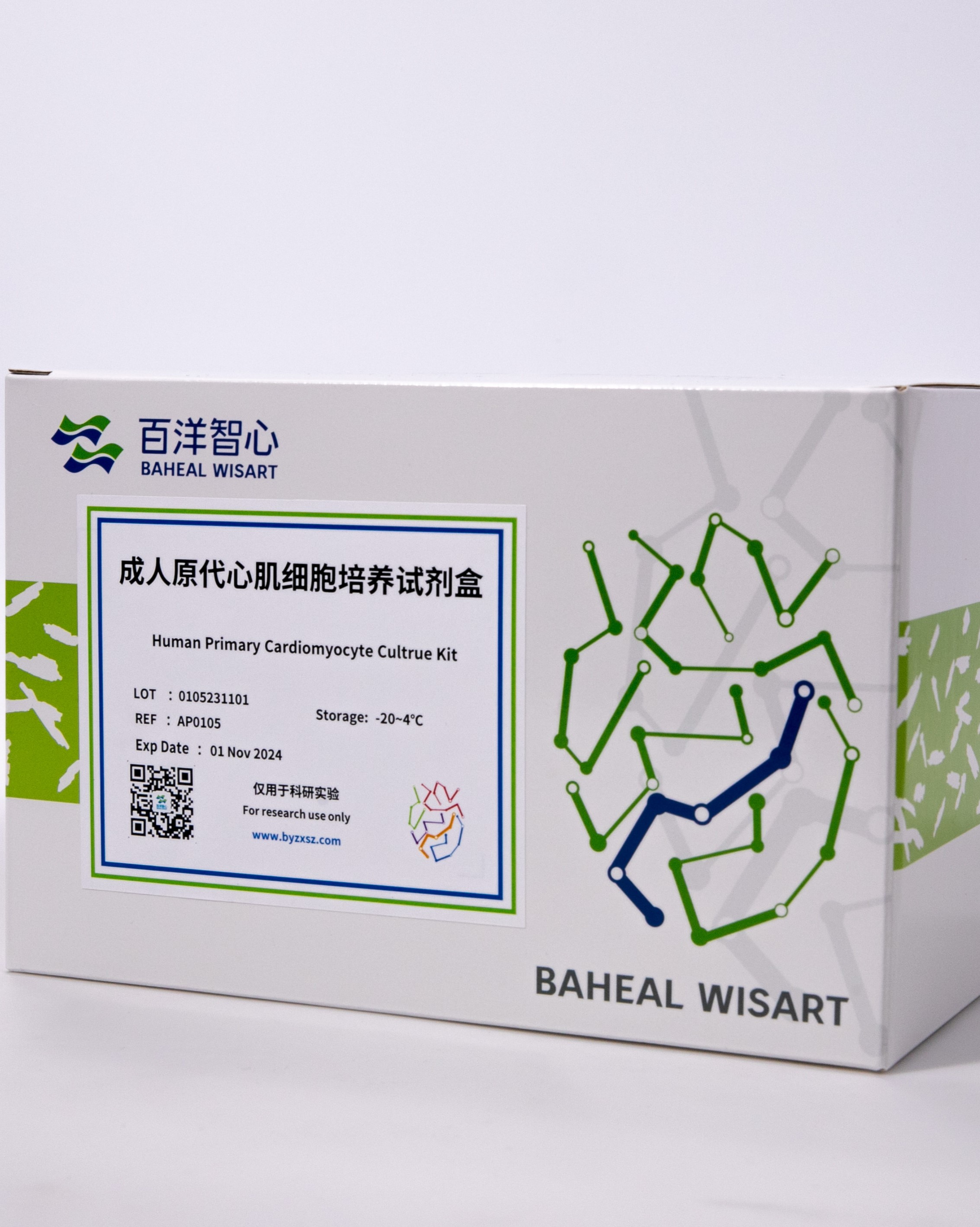 成人原代心肌细胞培养试剂盒