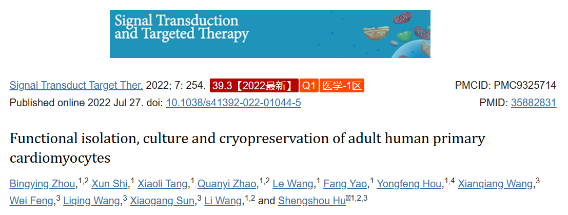 IF39.3|人原代心肌细胞分离、培养、冻存条件优化