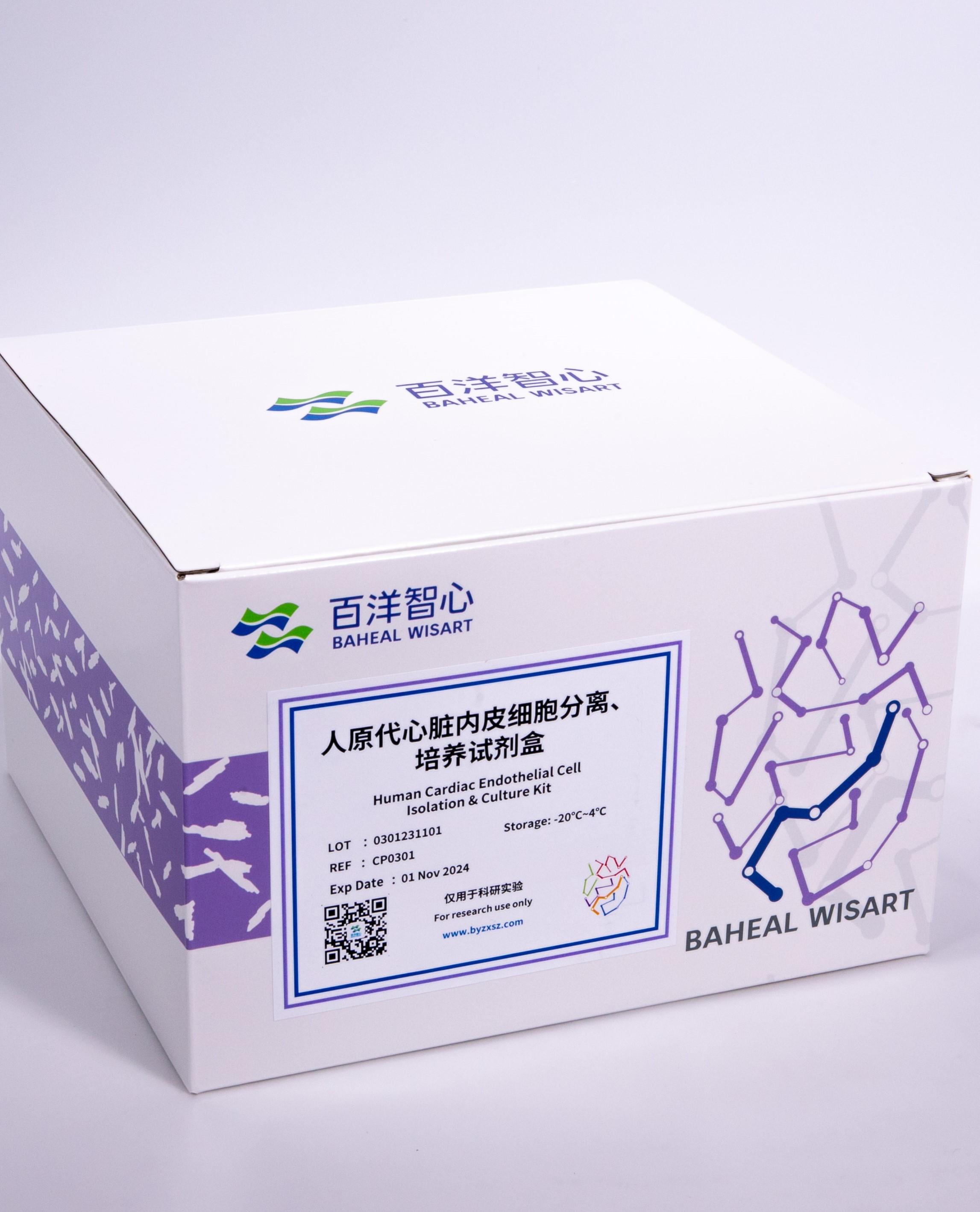 人原代心脏内皮细胞分离、培养试剂盒