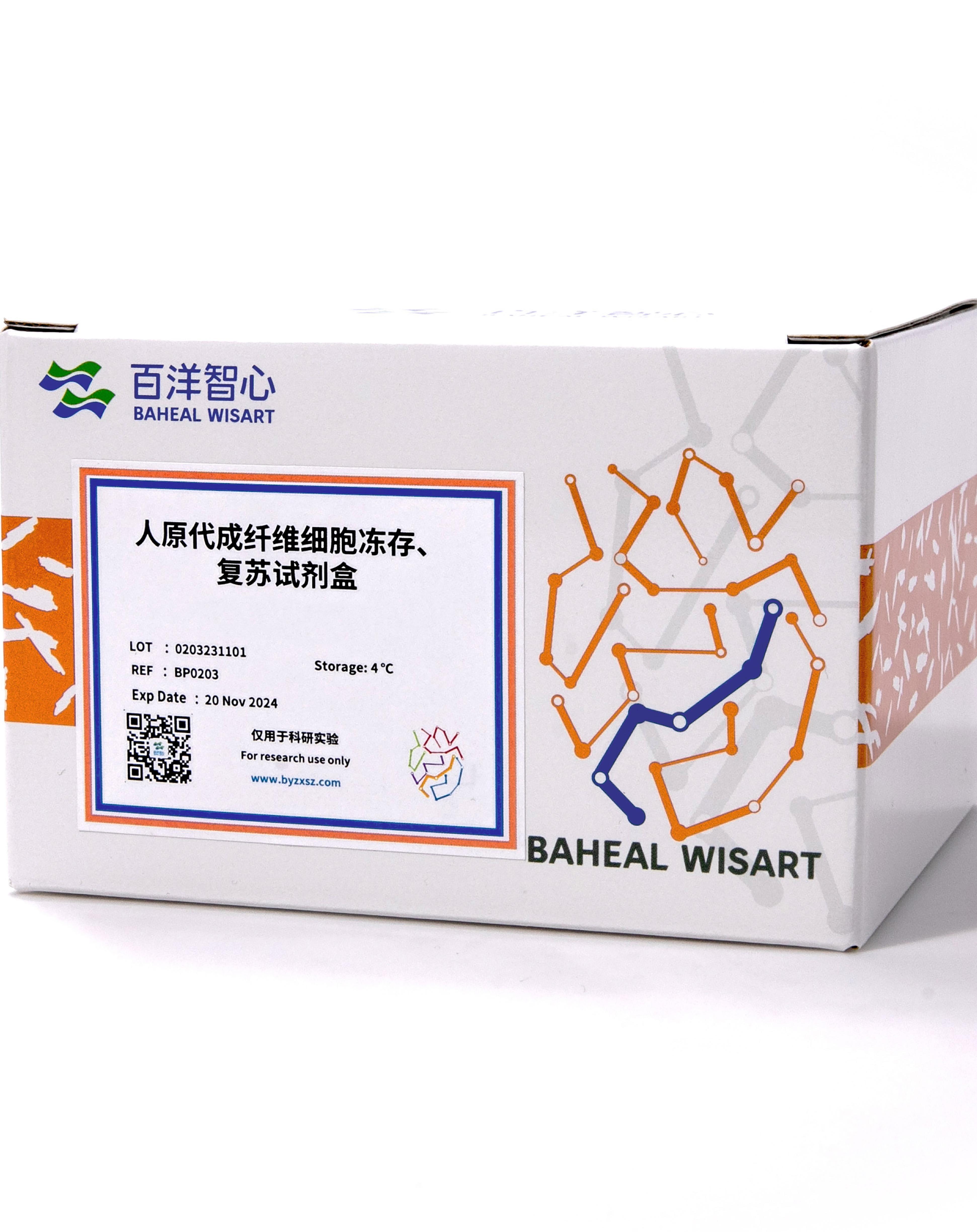 人原代成纤维细胞冻存试剂盒