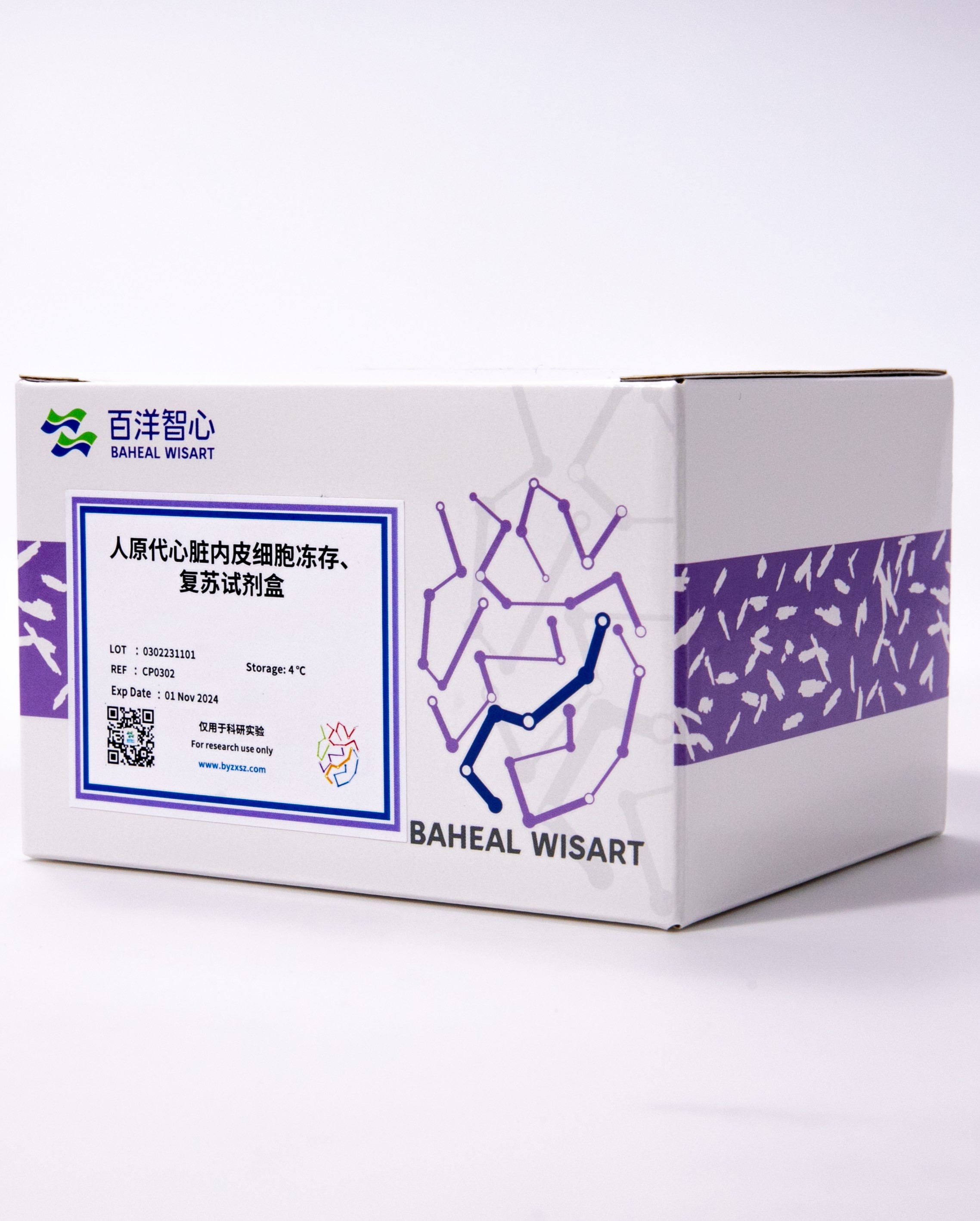 人原代心脏内皮细胞冻存试剂盒