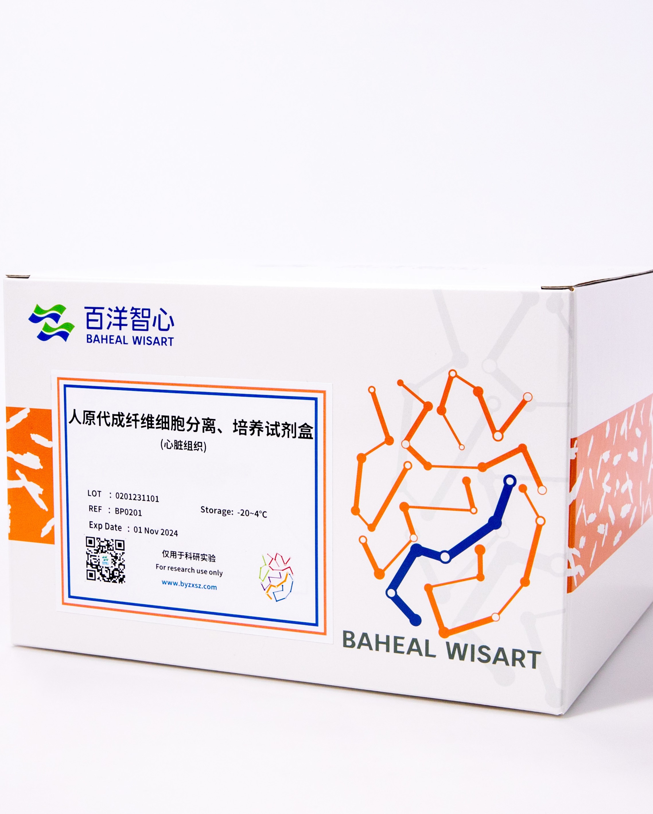 人原代成纤维细胞分离、培养试剂盒(心脏组织)