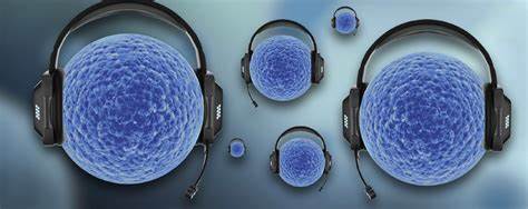 在微米级的空间内,心脏细胞如何通讯?