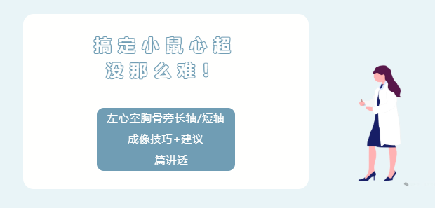 搞定小鼠心超没那么难!左心室胸骨旁长轴/短轴成像技巧+建议一篇讲透