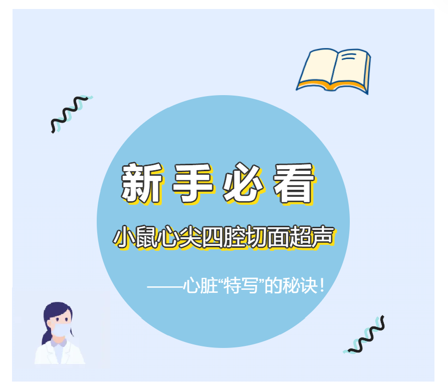 新手必看第二弹 | 小鼠超声心动图：心尖四腔切面成像关键技巧