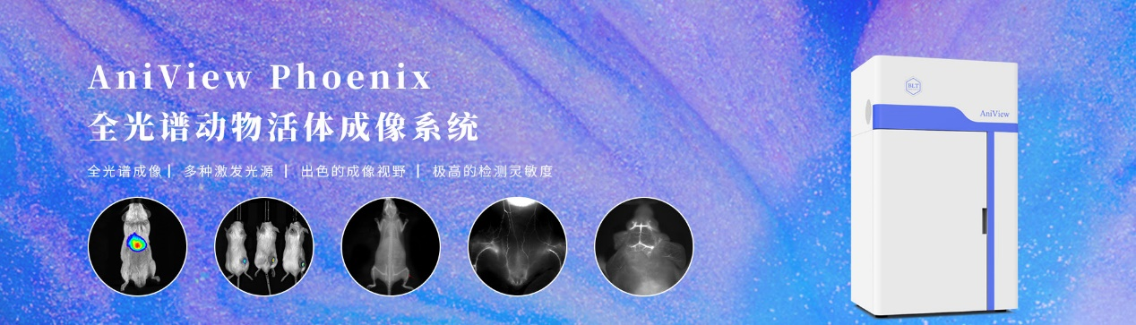 博鹭腾