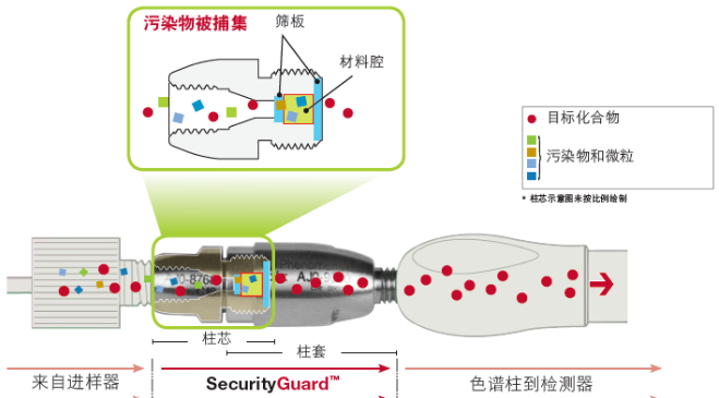 众柱支柱 | SecurityGuard保护柱为您的色谱分析提供贴身保护