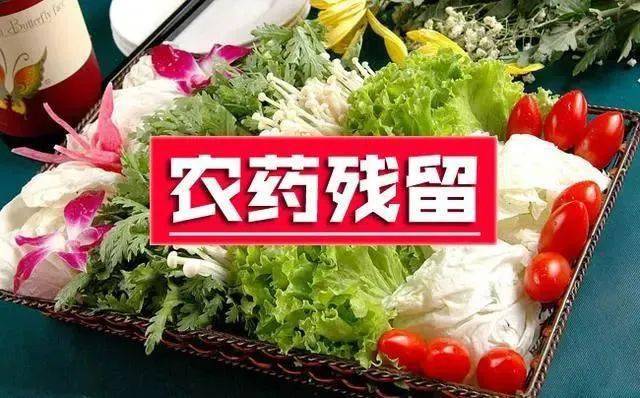 省農(nóng)業(yè)農(nóng)村廳辦公室關于做好2024年農(nóng)產(chǎn)品質(zhì)量安全監(jiān)管工作的通知
