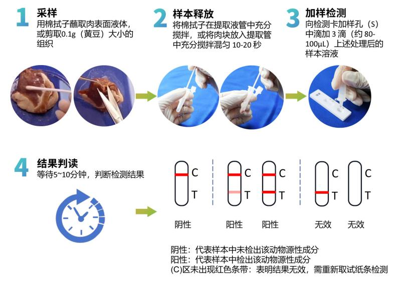 鸭源性成分快速检测试剂盒