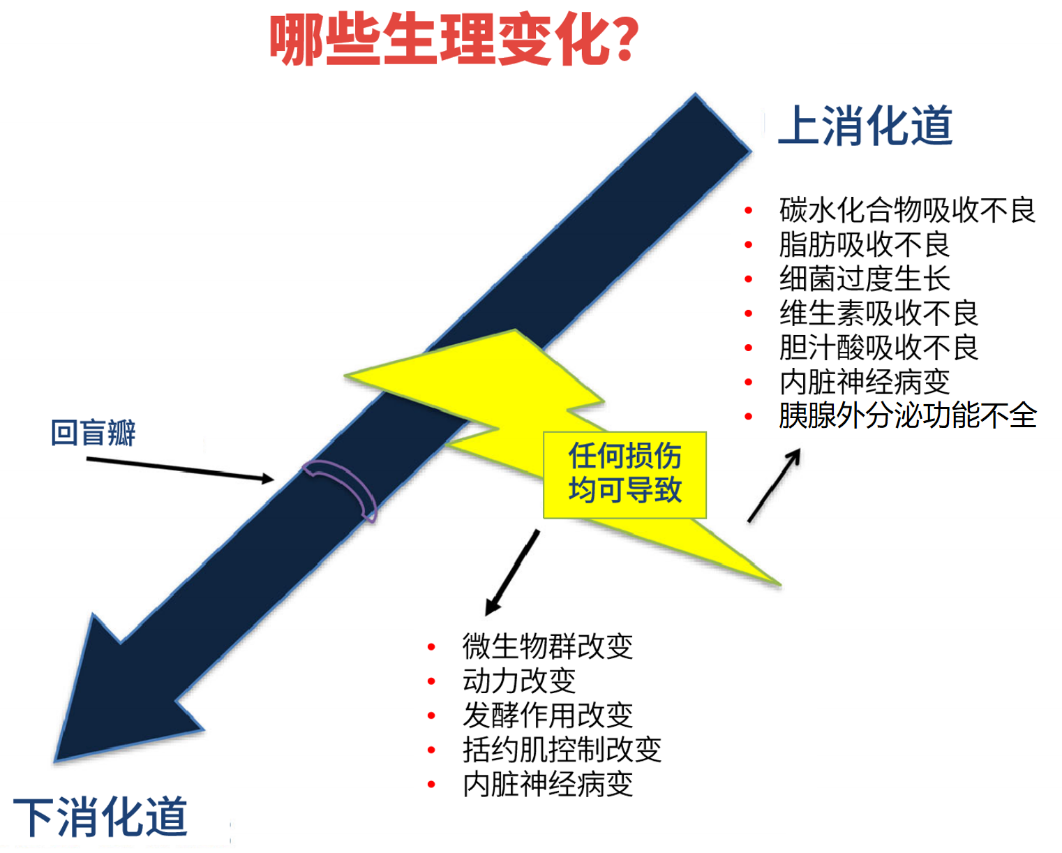 图片解读 | 化疗期间/后胃肠道症状的可治疗原因的前瞻性评估
