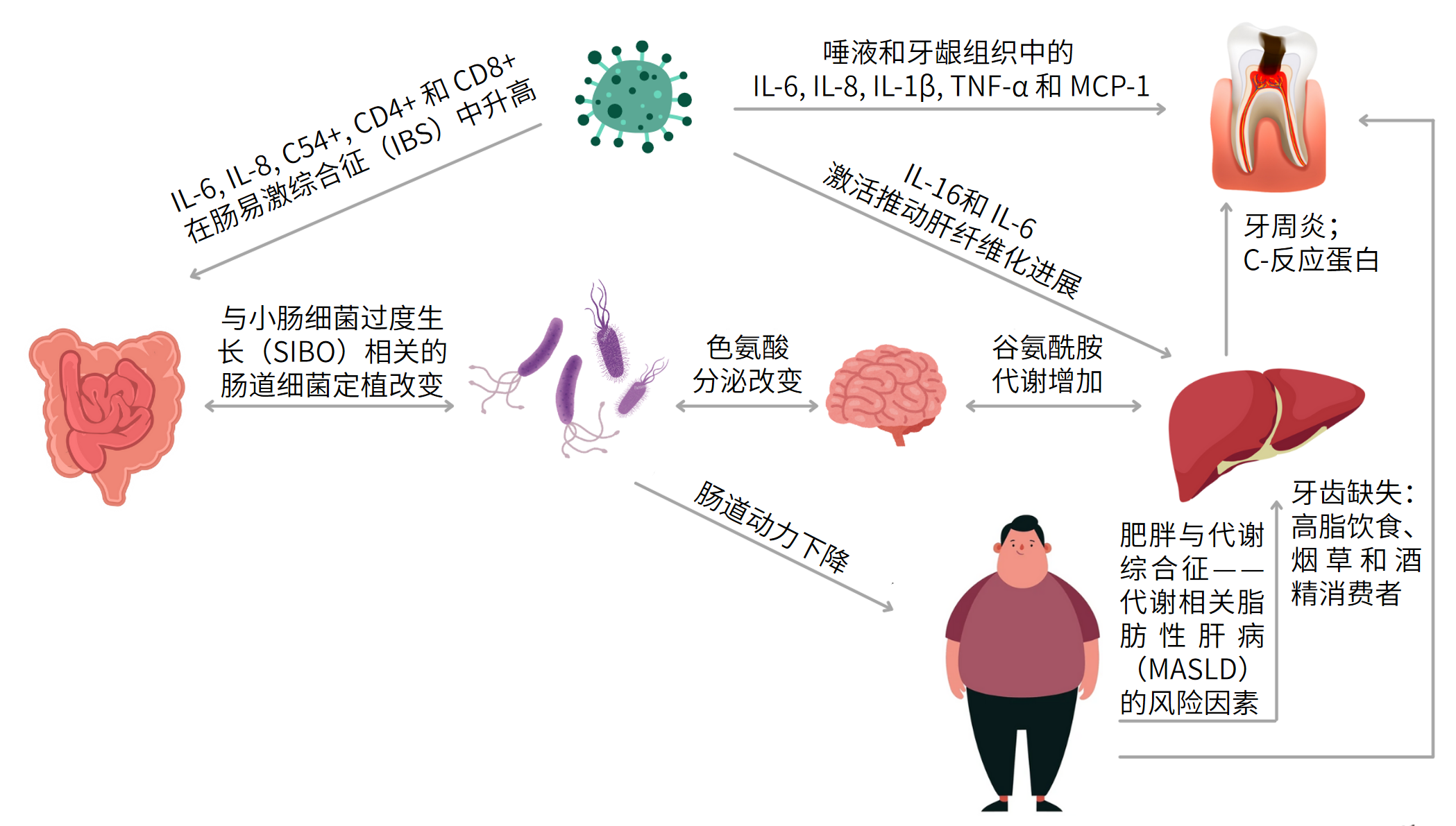 图片解读丨口腔健康与“现代”消化系统疾病——SIBO
