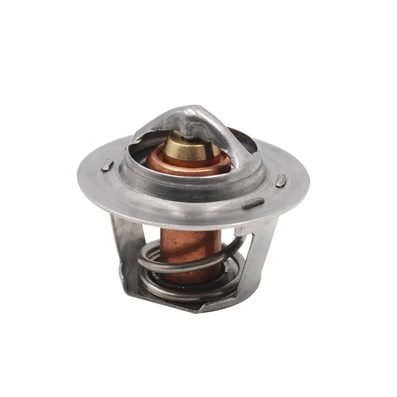 HTD-S056 Replacement Pentair 38000-0007S Thermal Regulator for MasterTemp Sta-Rite Max-E-Therm Pool And Spa Heaters