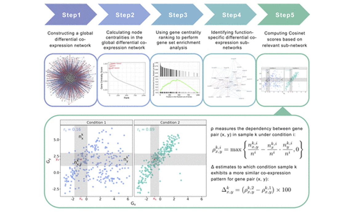 Life Science Alliance | Patient-specific analysis of co-expression to measure biological network rewiring in individuals