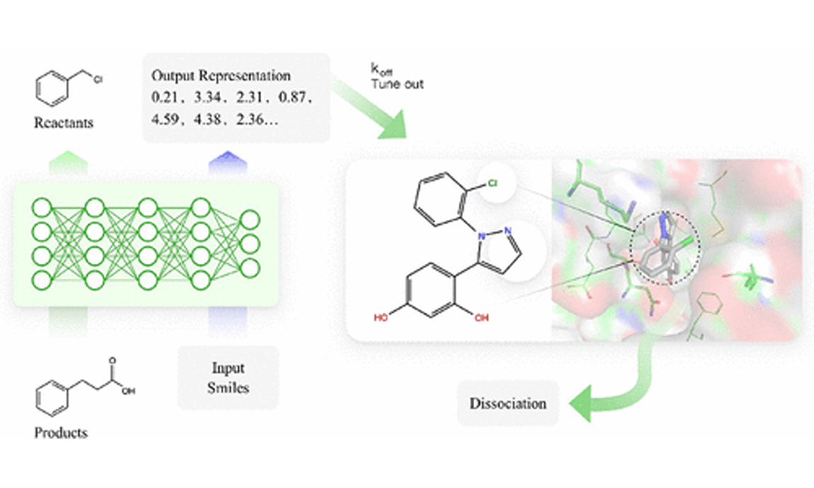 Acs Omega | Structure–Kinetic Relationship for Drug Design Revealed by a PLS Model with Retrosynthesis-Based Pre-Trained Molecular Representation and Molecular Dynamics Simulation