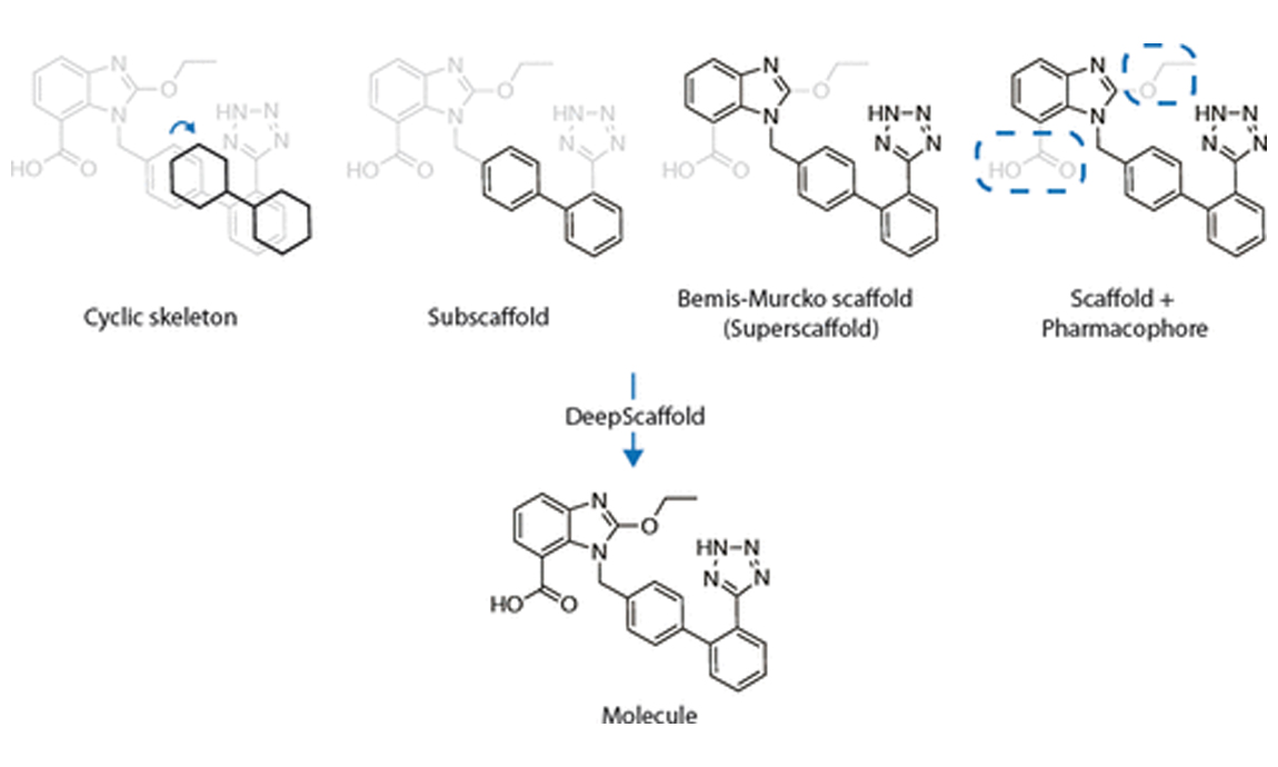 JCIM | DeepScaffold: A Comprehensive Tool for Scaffold-Based De Novo Drug Discovery Using Deep Learning