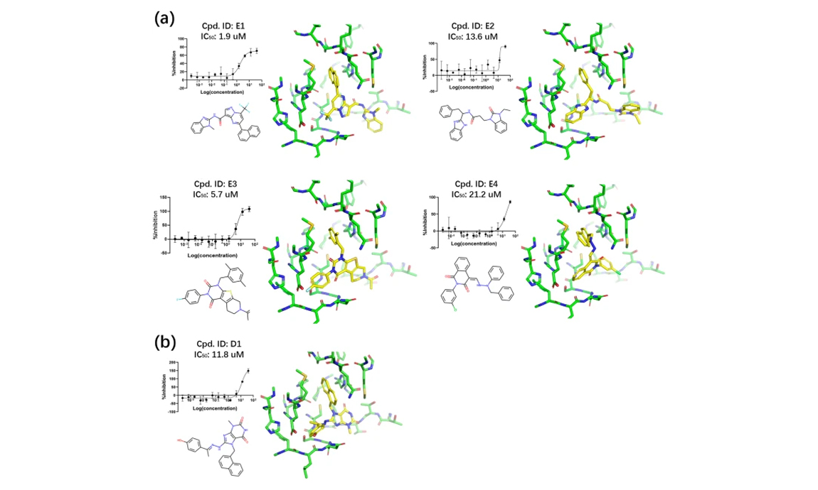 Communications Chemistry | Using macromolecular electron densities to improve the enrichment of active compounds in virtual screening