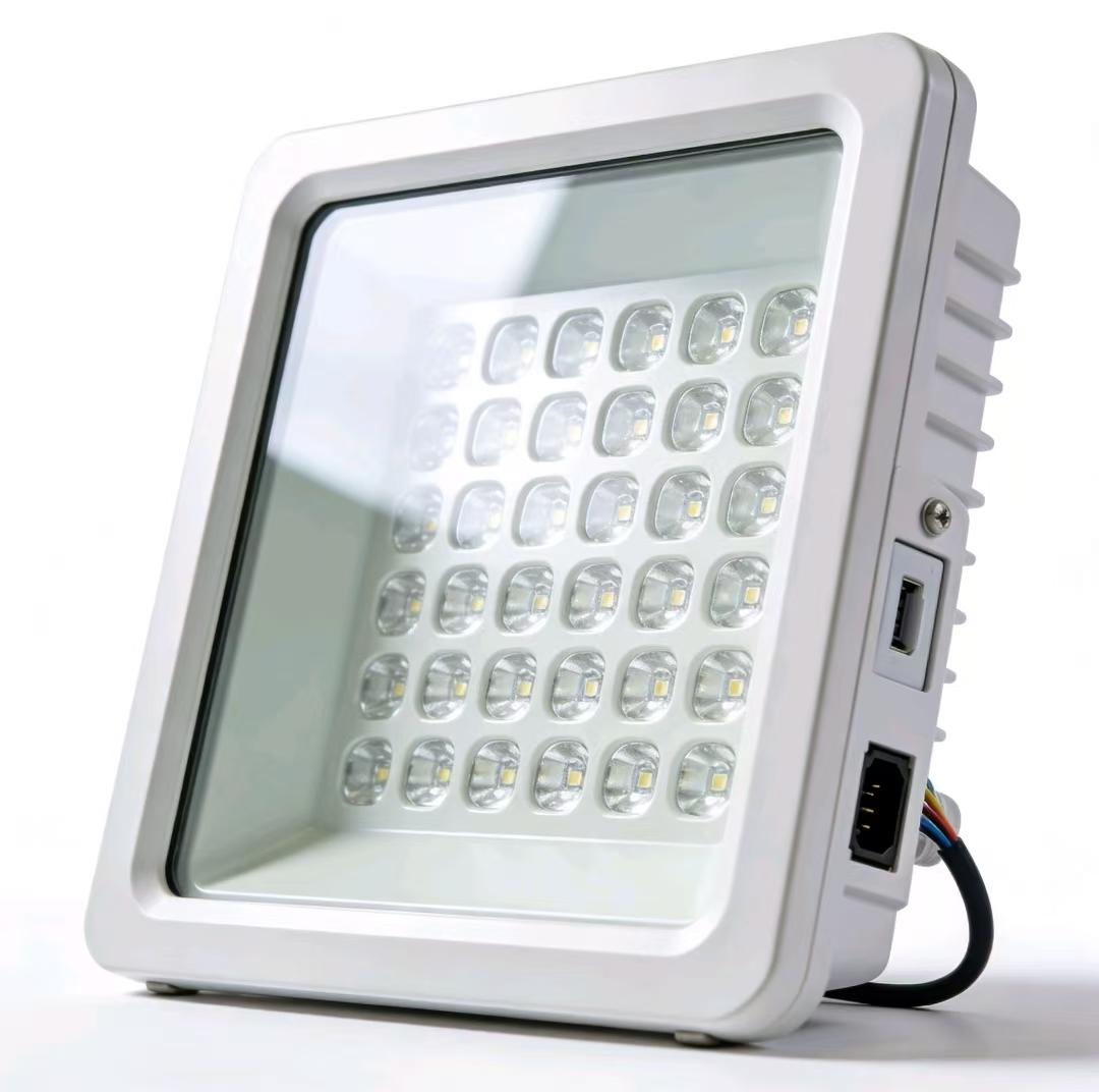 LED LIGHT