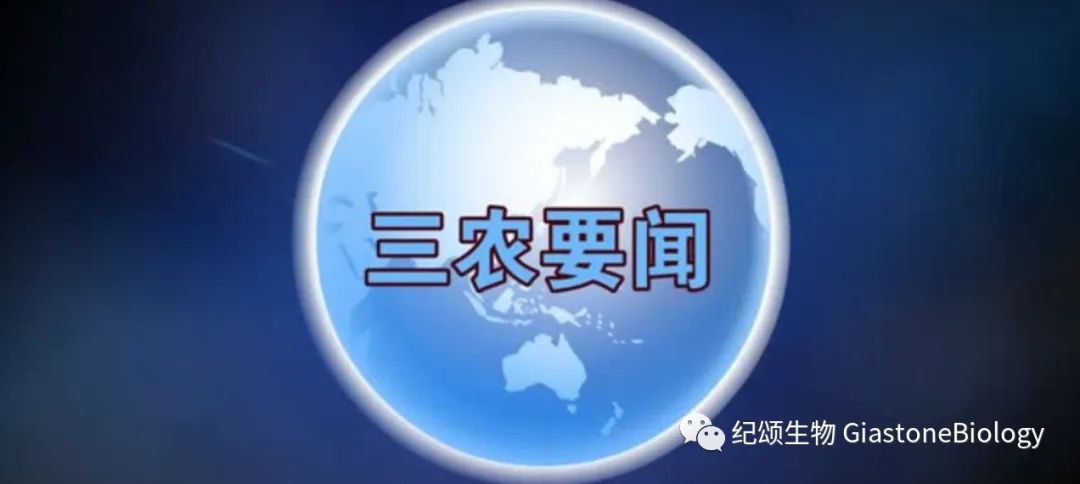 农业农村部:加大监管执法力度,全面净化种业市场