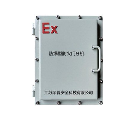 防爆型防火門監(jiān)控分機(jī) RXPMQF/FB