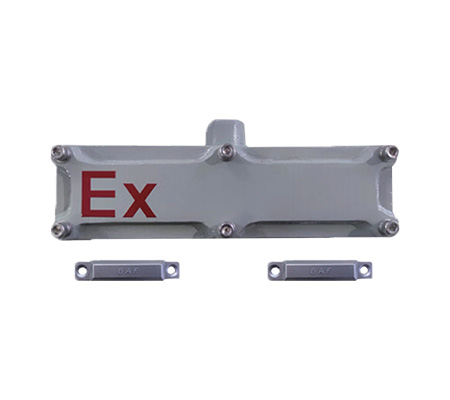 RXPM FBMC(Ex) 防爆型門磁