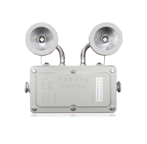 RX-ZFZC-E2W-2122 自電集中控制消防應(yīng)急照明燈具