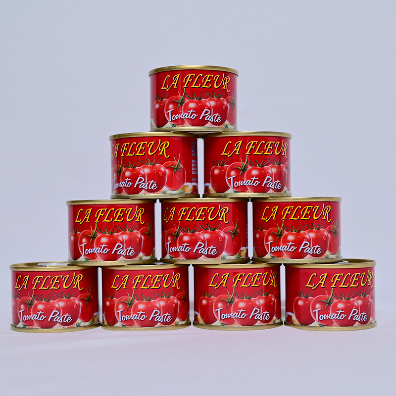 Canned Tomato Paste