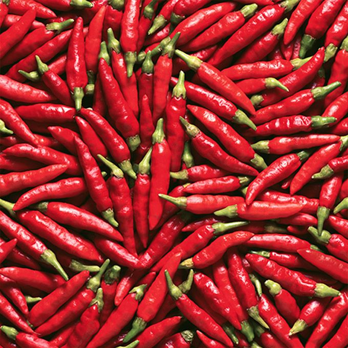 Chili Paste