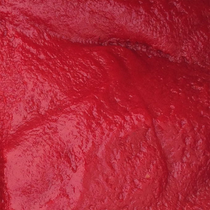 Aseptic Tomato Paste