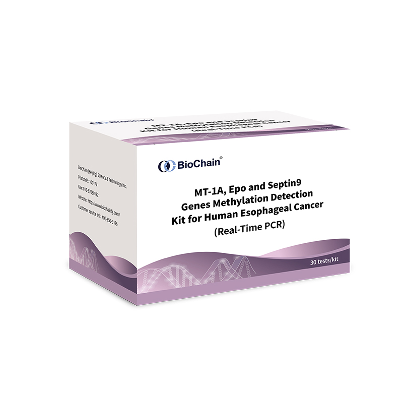 Gene Methylation Detection Kit for Human Esophageal Cancer (Real-Time PCR)