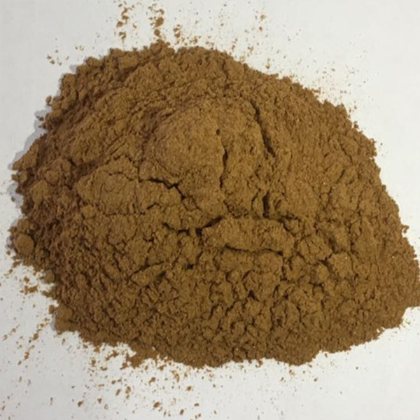 Ginkgo Biloba Extract24%