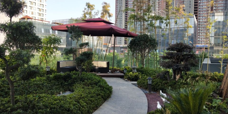 梵静苑 公司屋顶花园