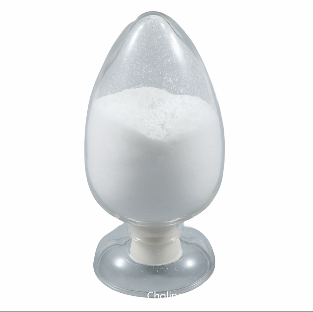 Choline Chloride 50% Silica