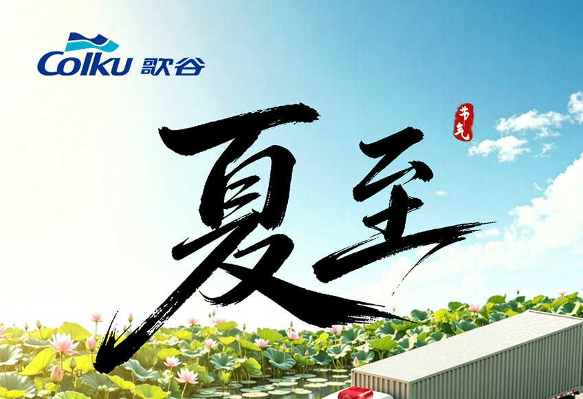 夏至 | 奔波盛夏，静享清凉！
