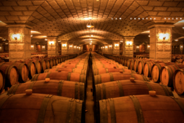 发酵制品酒类行业