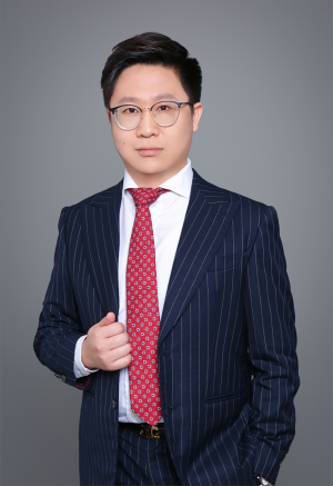 王野（合伙人律师）