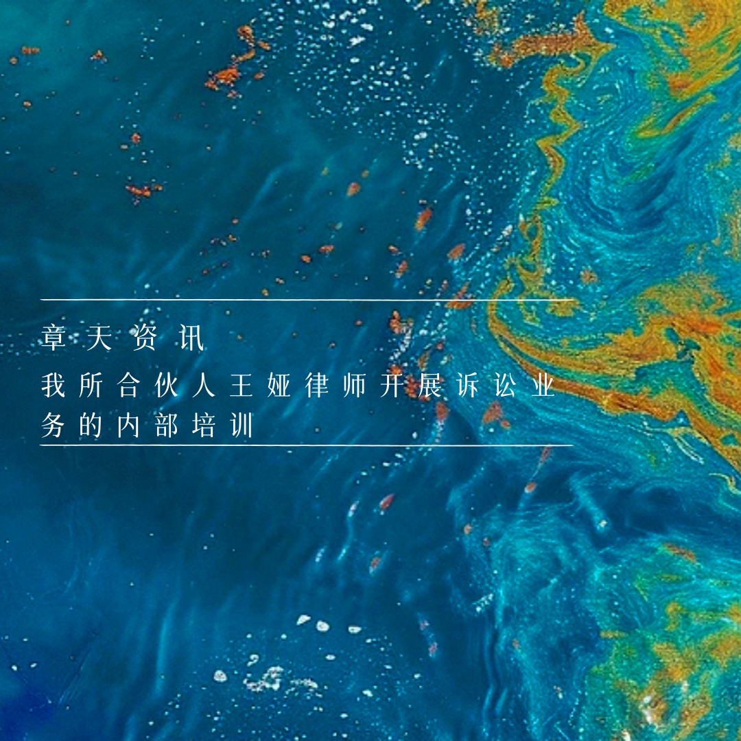章天资讯丨我所合伙人王娅律师开展诉讼业务的内部培训