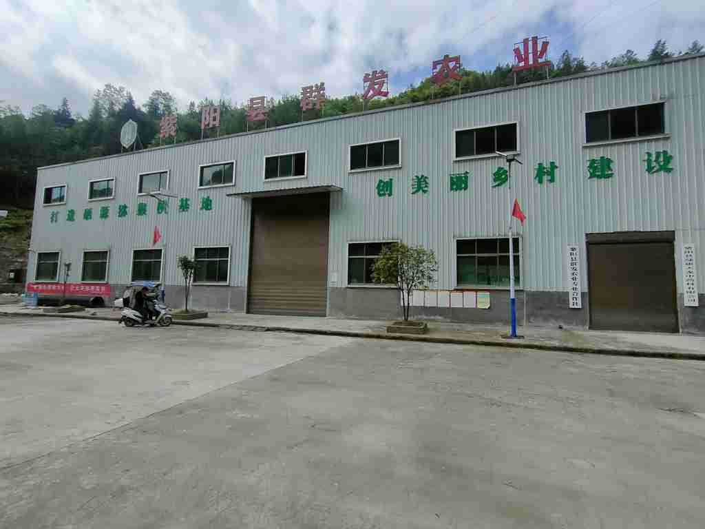 瓦庙绿康天龙猕猴桃基地建设项目