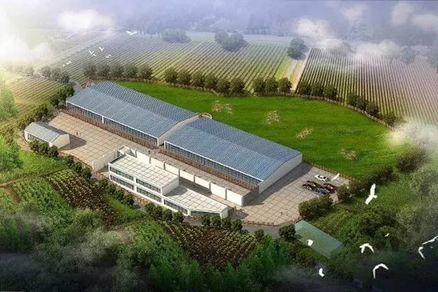 城关塘么子沟农业综合开发项目