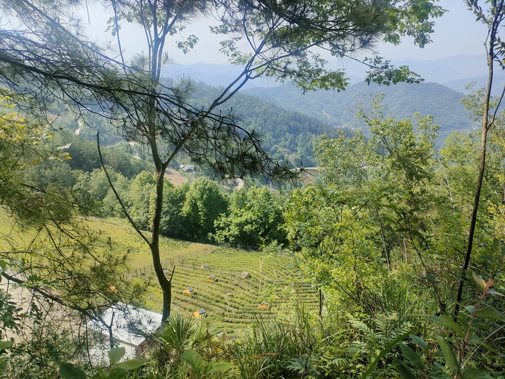 城关俊翊生态旅游农庄项目