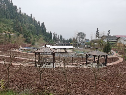 高桥龙潭茶旅融合及茶产业园区提升项目